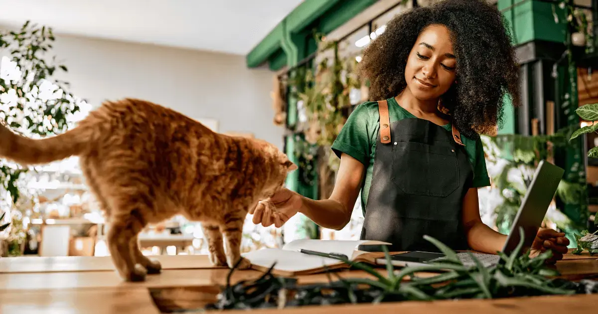 How Much Does It Cost To Open a Pet Store?
